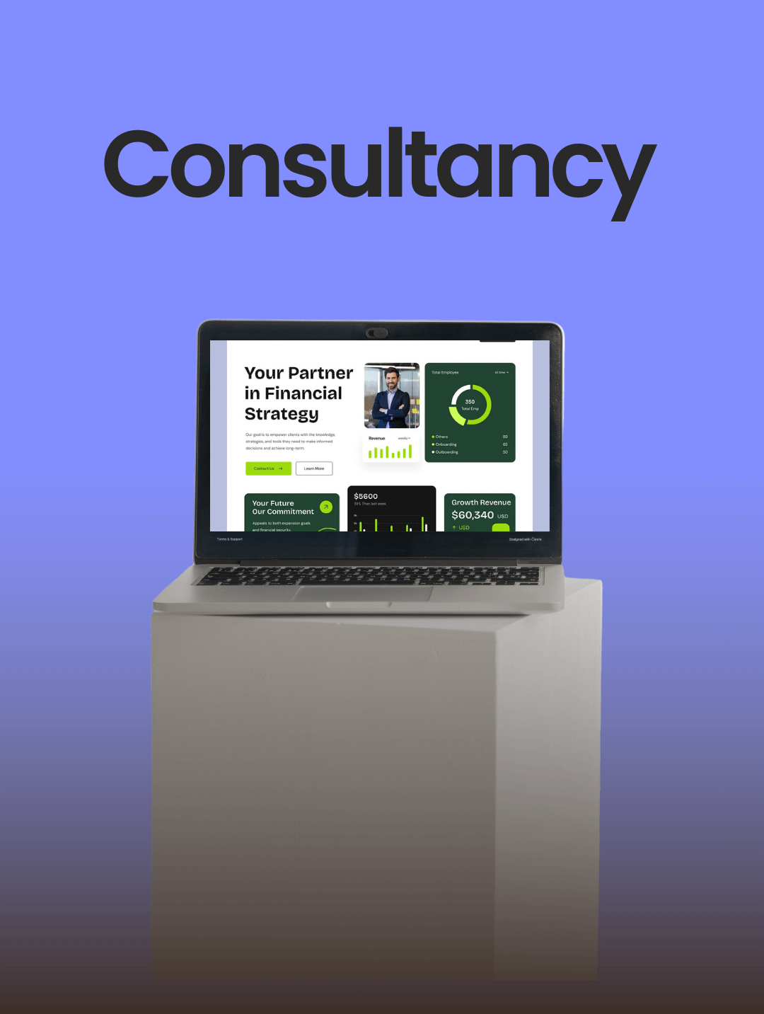Consultancy Industry